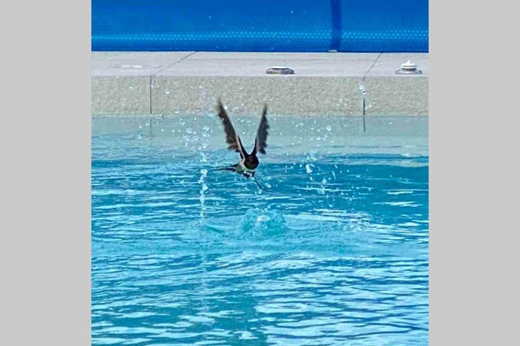 Villa Eni Medulin Sisan Heated Pool Екстер'єр фото